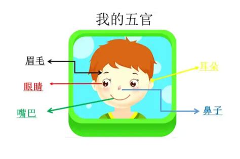 五官分析|面部特征分析